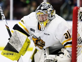Sarnia Sting goalie Nick Surzycia (31) plays against the Windsor Spitfires at Progressive Auto Sales Arena in Sarnia, Ont., on Friday, Oct. 27, 2023. (Mark Malone/Postmedia Network)