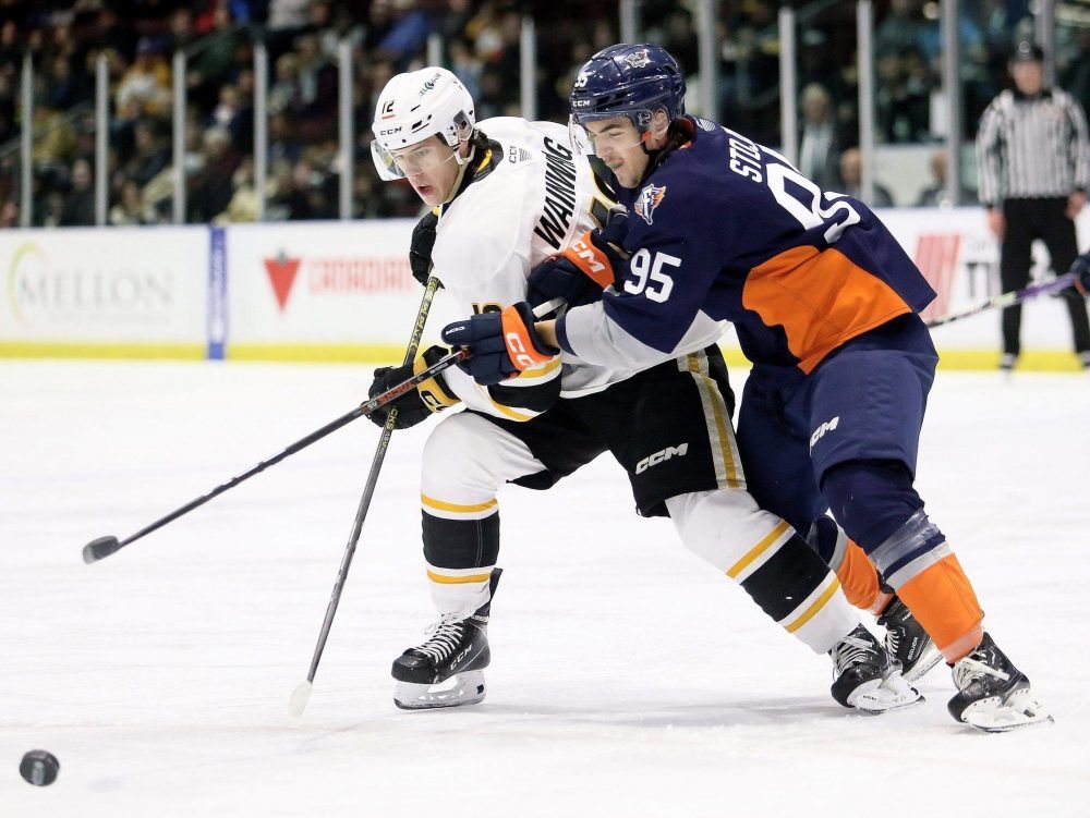 Another Slow Start Sends Sting To Fifth Consecutive Loss | The Sarnia ...