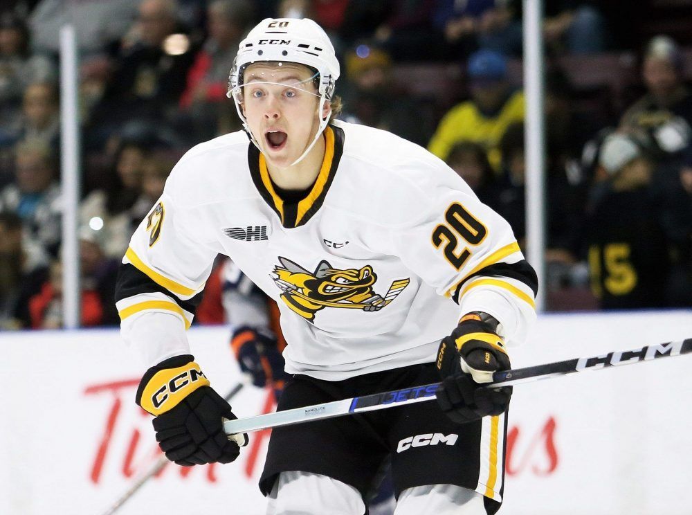 Sting acquire Panthers prospect Kai Schwindt | The Sarnia Observer