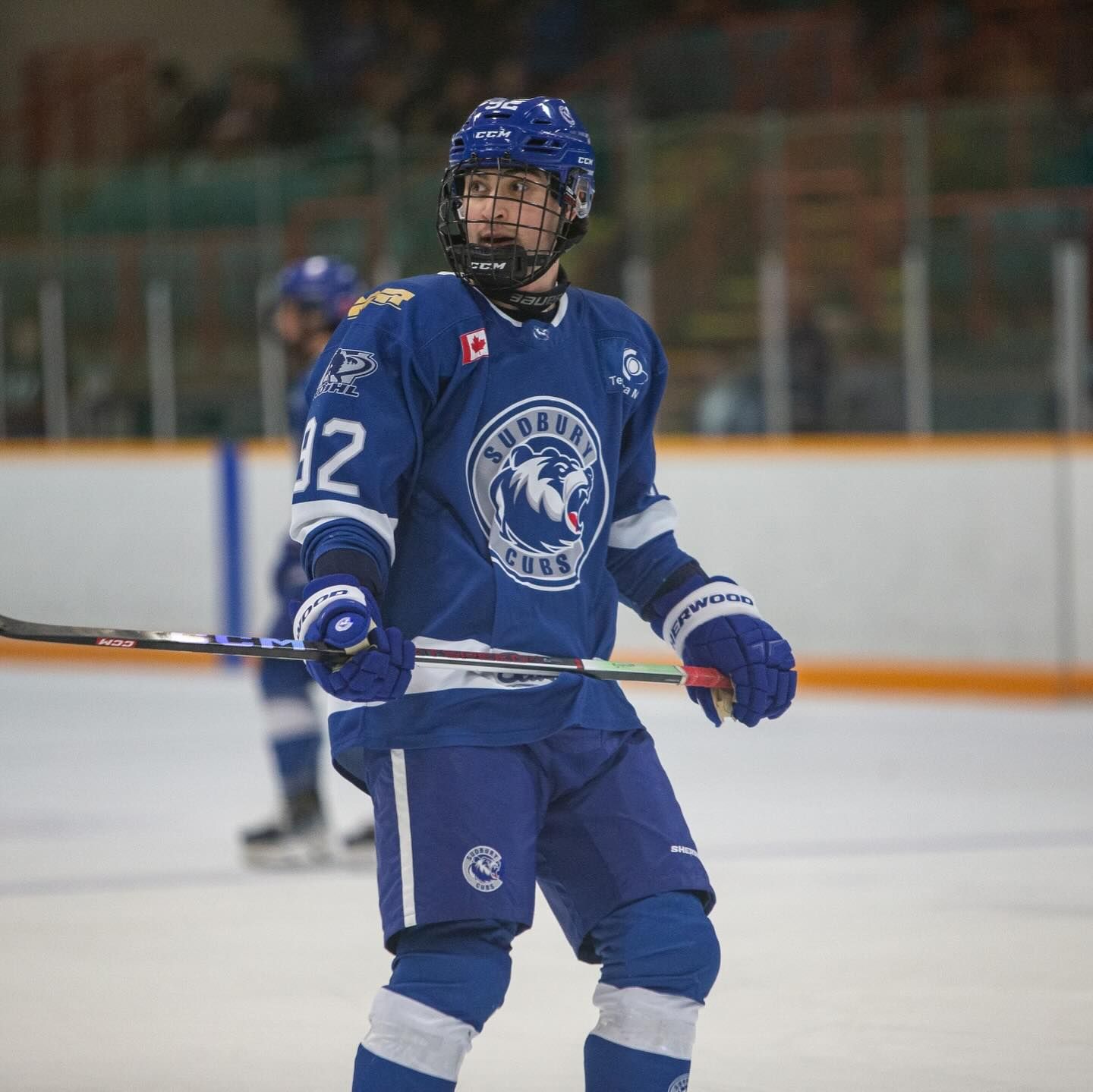 Greater Sudbury Cubs Rally for Last-Minute Win Against Powassan Voodoos ...