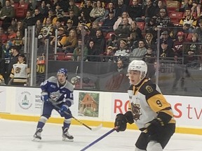 Tomas Hamara made his debut for the Brantford Bulldogs debut on Saturday at the civic centre following his trade from the Kitchener Rangers. Staff