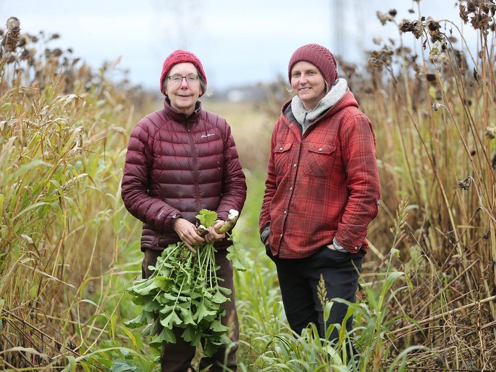 Wolfe Island farm featured in National Farmers Union campaign The