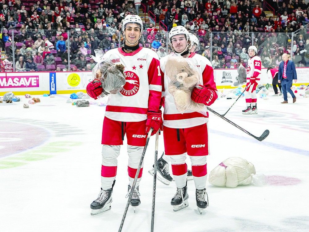 TEDDY TOSS Sault This Week