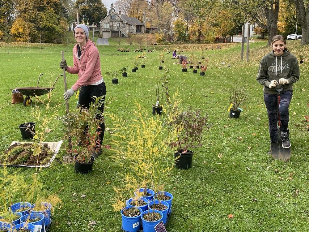 Simcoe Food Forest looking for core group of volunteers | Simcoe Reformer