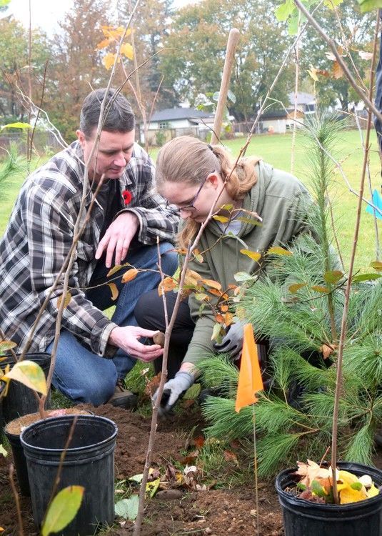 Brant Tree Coalition plants its first micro forest | The Londoner