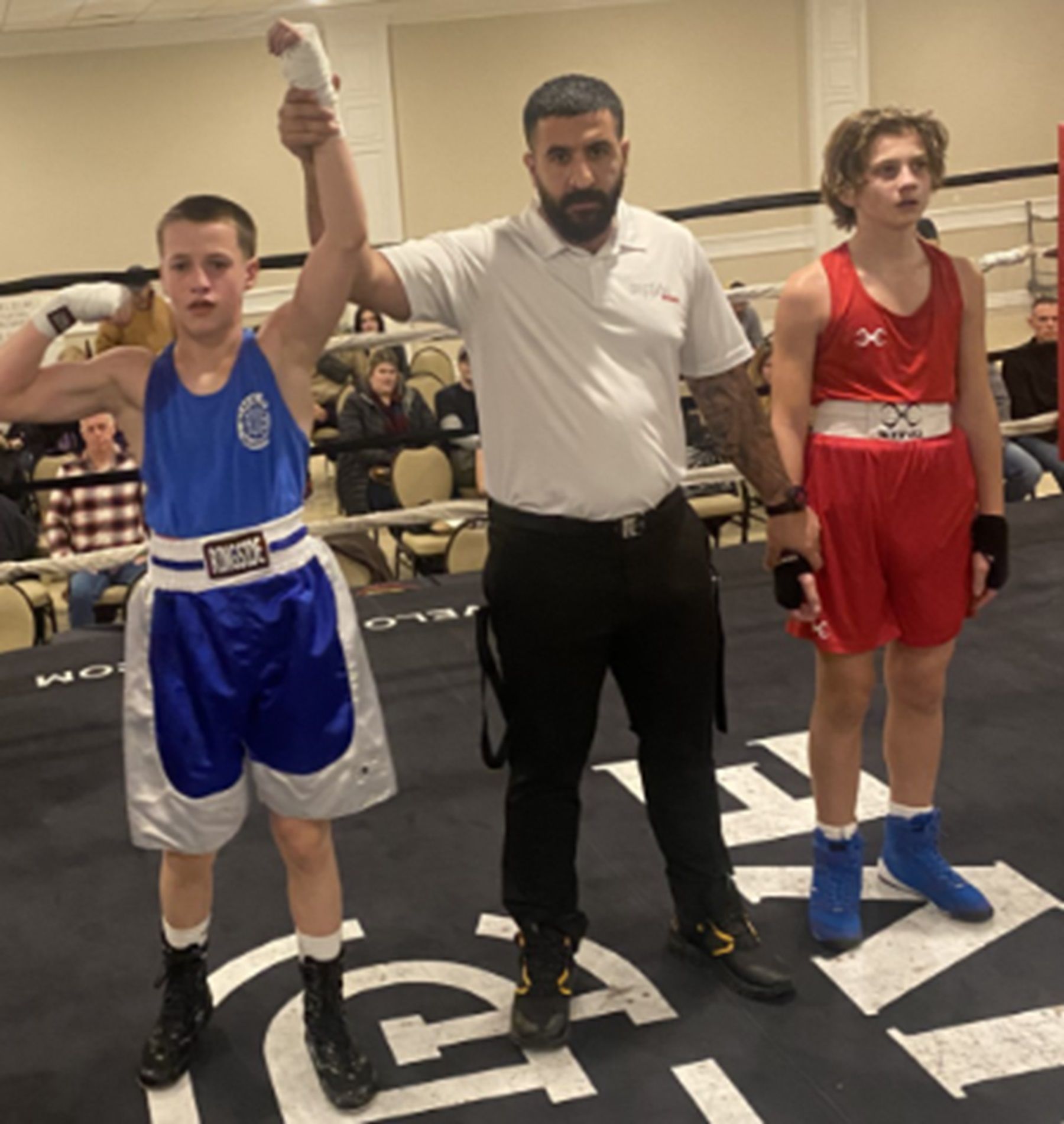 Boxer Wins Fight The Sarnia Observer
