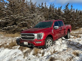 A stolen Ford F-150 that had been driven off the road in Odessa, Ont., on Tuesday, December 19, 2023. Officers also located a stolen Jeep during the same incident. (Supplied by the OPP)