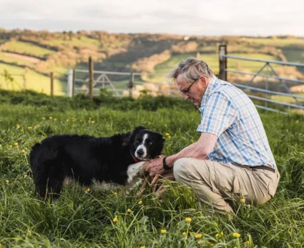 Sudbury senior victimized by investment scam | Sudbury Star