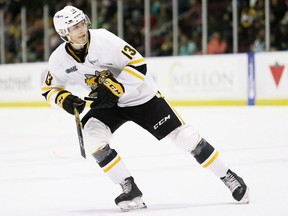 Sarnia Sting's Lukas Fischer (13) plays against the Niagara IceDogs at Progressive Auto Sales Arena in Sarnia, Ont., on Sunday, Oct. 29, 2023. (Mark Malone/Postmedia Network)