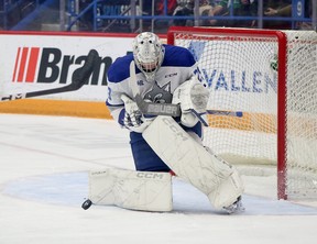 Sudbury Wolves Niagara IceDogs game action