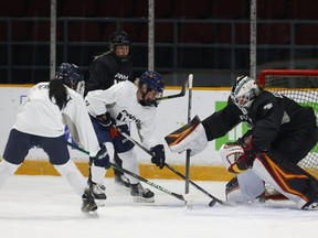 Ottawa’s PWHL team stepped onto the ice for the first time during training camp at TD Place in Ottawa, Nov. 17 2023. The league begins its schedule on Jan. 1, 2024.