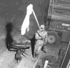 Police are hoping someone can identify this man, seen in a surveillance video after a Highway 3, Windham company lost about $35,000 in tools and equipment.