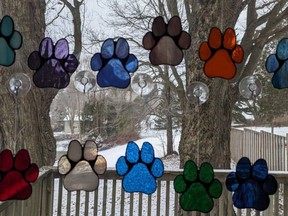 Lucknow-based artist Cindy Pearce recently launched a fundraising initiative, Pawz for a Cause, selling stained glass paw prints with proceeds going to area animal rescues. Supplied photo