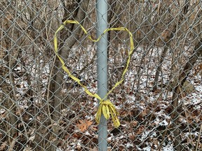 A ribbon in the shape of a heart hangs on a fence next to an oak tree thought to be more than 200 years old at the former Davis Tannery site in Kingston