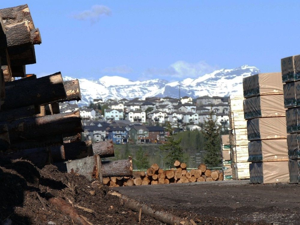 Parker: Cochrane's Spray Lake Sawmills Being Acquired By B.C. Lumber ...