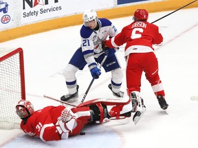Sudbury Wolves Soo Greyhounds game action