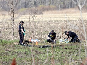 Members of the OPP forensic identification unit search for evidence on Walpole Island First Nation on April 13, 2021. (Ellwood Shreve/Postmedia Network)