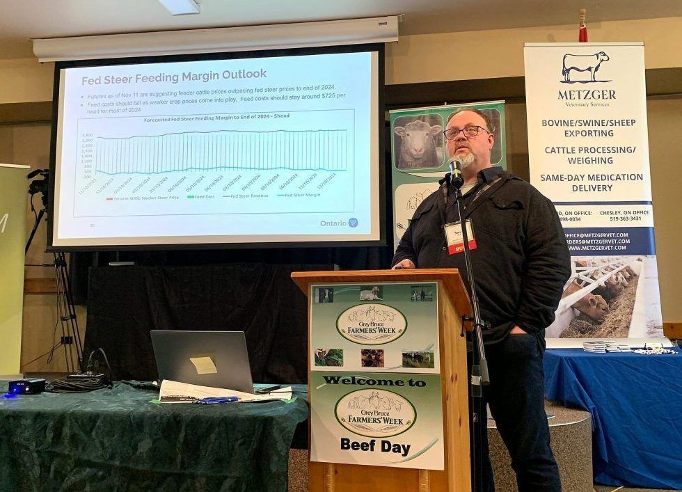 GreyBruce producers see record cattle prices in 2023 Grey Bruce This