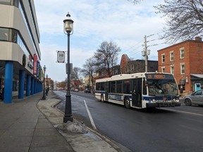 Fredericton Transit's policy allowing children aged six and under to ride the bus free of charge isn't expected to change anytime soon, city spokesperson Shasta Stairs says.