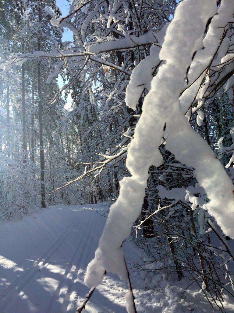 Heavy snow on Hiawatha Highlands wishlist Sault Star