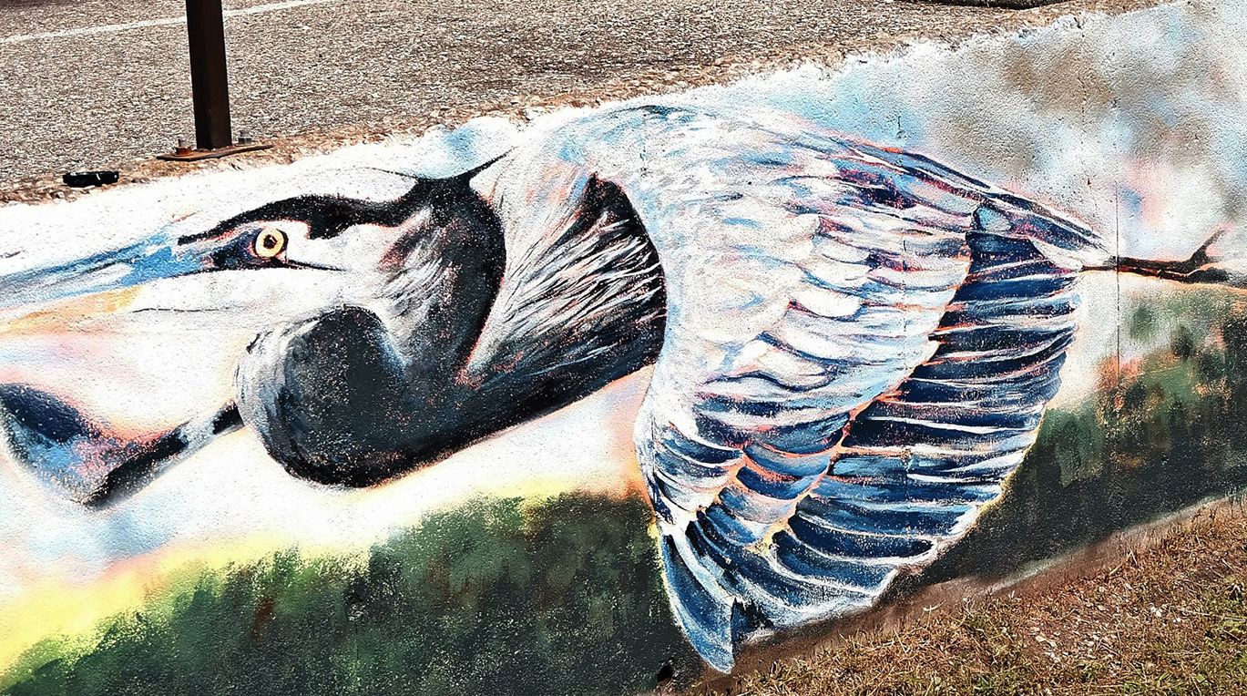 Great Blue Heron featured in new mural in downtown Paris Tillsonburg News
