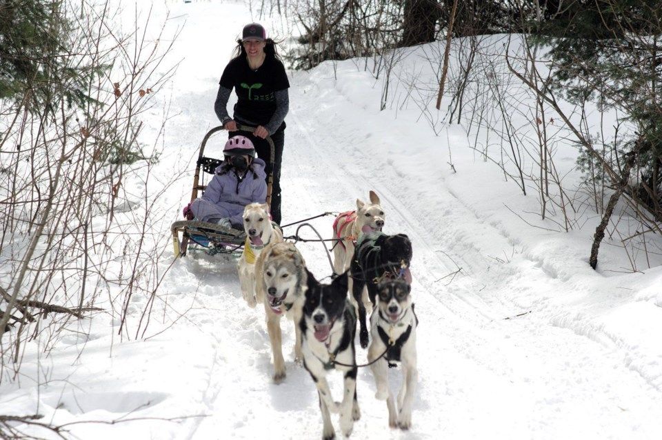 South River Dog Sled Races Earn World Cup Qualifying Status
