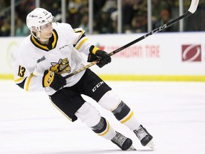 Sarnia Sting's Lukas Fischer (13) plays against the Niagara IceDogs at Progressive Auto Sales Arena in Sarnia, Ont., on Sunday, Oct. 29, 2023. The Sarnia Sting defenceman is scheduled to follow in his father, Jiri's, footsteps Wednesday and play in the CHL/NHL Top Prospects game in Moncton, N.B. (Mark Malone/Postmedia Network)
