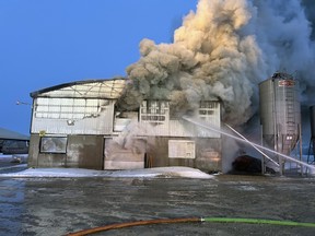 Chicken barn gutted in West Perth fire Jan. 26, 2024