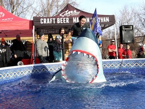 Polar plunge, Chatham, Special Olympics