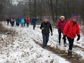 Hikers