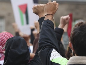 Hundreds of Pro-Palestinian supporters descended on Queens Park to protest what is happening in the Middle East on Friday October 20, 2023.