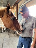 'Healing with Horses' expert Patrick Buffalo coming to Corbeil