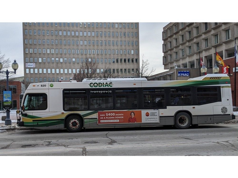 Codiac Transpo buying 10 new diesel buses as electric fleet plans ...