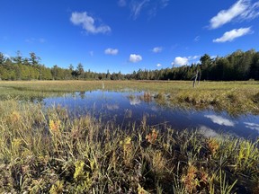 Manitoulin conservation land
