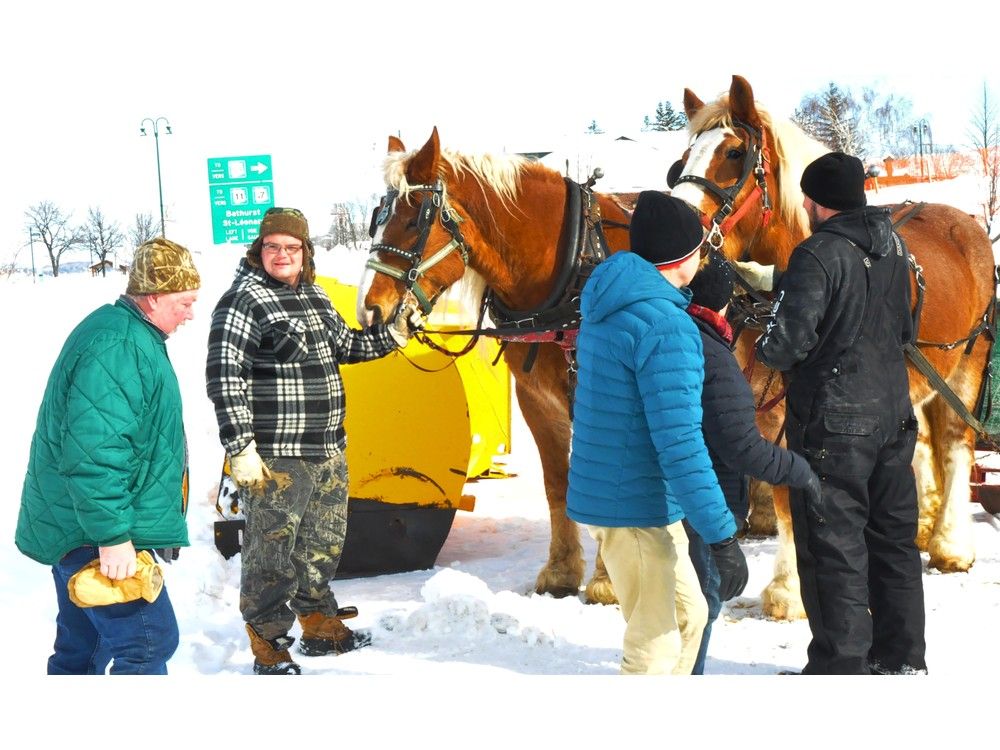 SnoFest in Campbellton will be hosted at Sugarloaf Park Telegraph