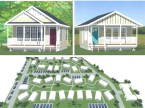 Conceptual drawings of the tiny home project proposed for behind the McAdam Seniors Housing Complex have been released ahead of a public meeting planned for March 20 at 7 p.m. at the McAdam Lions Club.