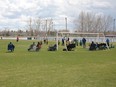 FILE PHOTO: Minor soccer occupies a field at Ed Eggerer Athletic Park in Airdrie.