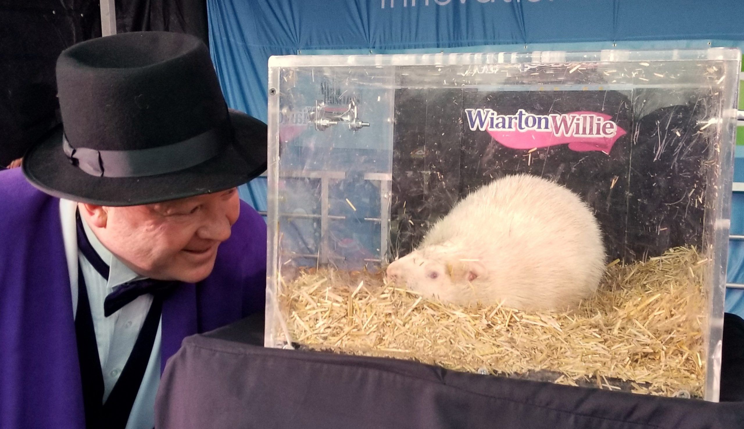 Wiarton Willie prediction for 2024 The Shoreline Beacon