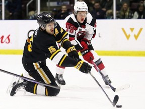 Sarnia Sting's Marko Sikic (15) battles Jack Dever (18) of the Ottawa 67's in the first period at Progressive Auto Sales Arena in Sarnia, Ont., on Friday, Feb. 2, 2024. Mark Malone/Chatham Daily News/Postmedia Network