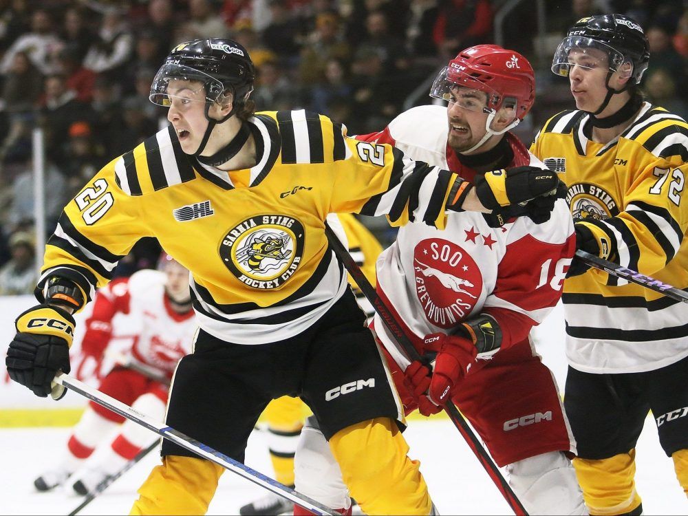 Sarnia Sting on threegame slide The Sarnia Observer