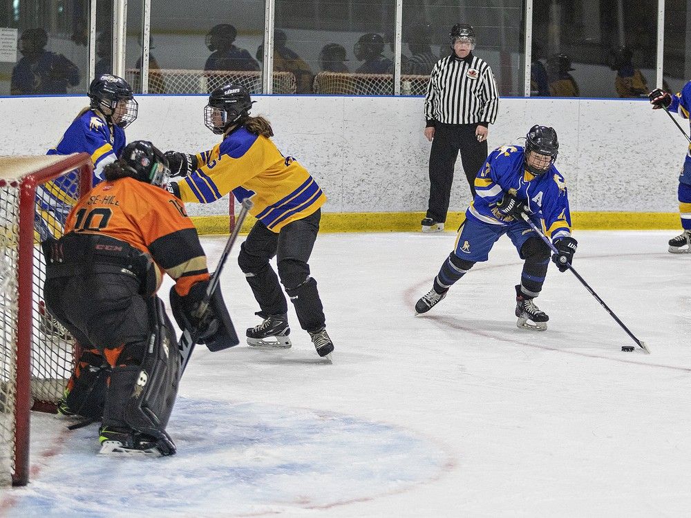 Mustangs beat Blue Devils in girls hockey quarters The Sarnia Observer