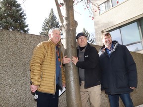 Scott Darling, left, board chair of St. Andrew's Place, Indigenous educator and artist Will Morin and Rev. Dave LeGrand took part in a tree ceremony at St. Andrew's courtyard garden in Sudbury, Ont. on Monday February 26, 2024. John Lappa/Sudbury Star/Postmedia Network