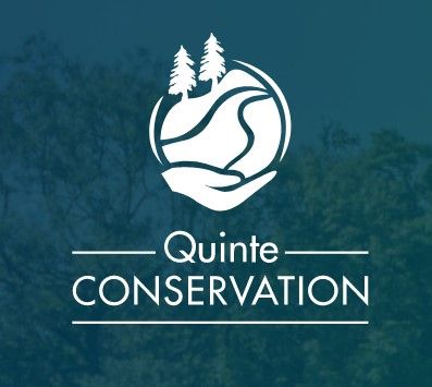 New forest-carbon project begins in Quinte Conservation area | Cornwall