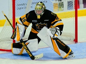 Goaltender David Egorov was outstanding on Wednesday, making 32 saves as the Brantford Bulldogs defeated the Niagara IceDogs 7-1 at the civic centre. OHL Images