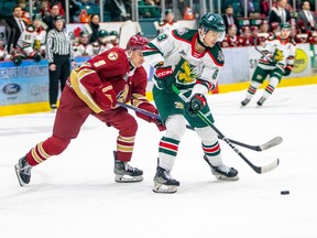 Dylan Andrews, 9, of the Acadie-Bathurst Titan, chases Jack Martin of the Halifax Mooseheads