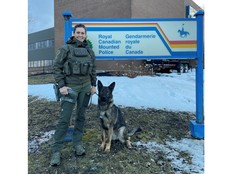 0327 tt rcmp dog