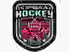 2024 OFSAA A/AA hockey logo