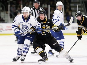 Mississauga Steelheads' Angus MacDonell (17) and Sarnia Sting's Sean Doherty (55) battle at Progressive Auto Sales Arena in Sarnia, Ont., on Wednesday, March 13, 2024. Mark Malone/Chatham Daily News/Postmedia Network