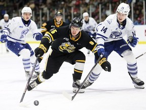 Sarnia Sting's Mitch Young (5) is chased by Mississauga Steelheads' Jack Van Volsen (14) at Progressive Auto Sales Arena in Sarnia, Ont., on Wednesday, March 13, 2024. Mark Malone/Chatham Daily News/Postmedia Network
