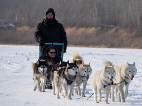 A dogsled travels on the Snye during the WinterPLAY festival that ran from Feb. 23 to March 3. Vincent McDermott/Fort McMurray Today/Postmedia Network